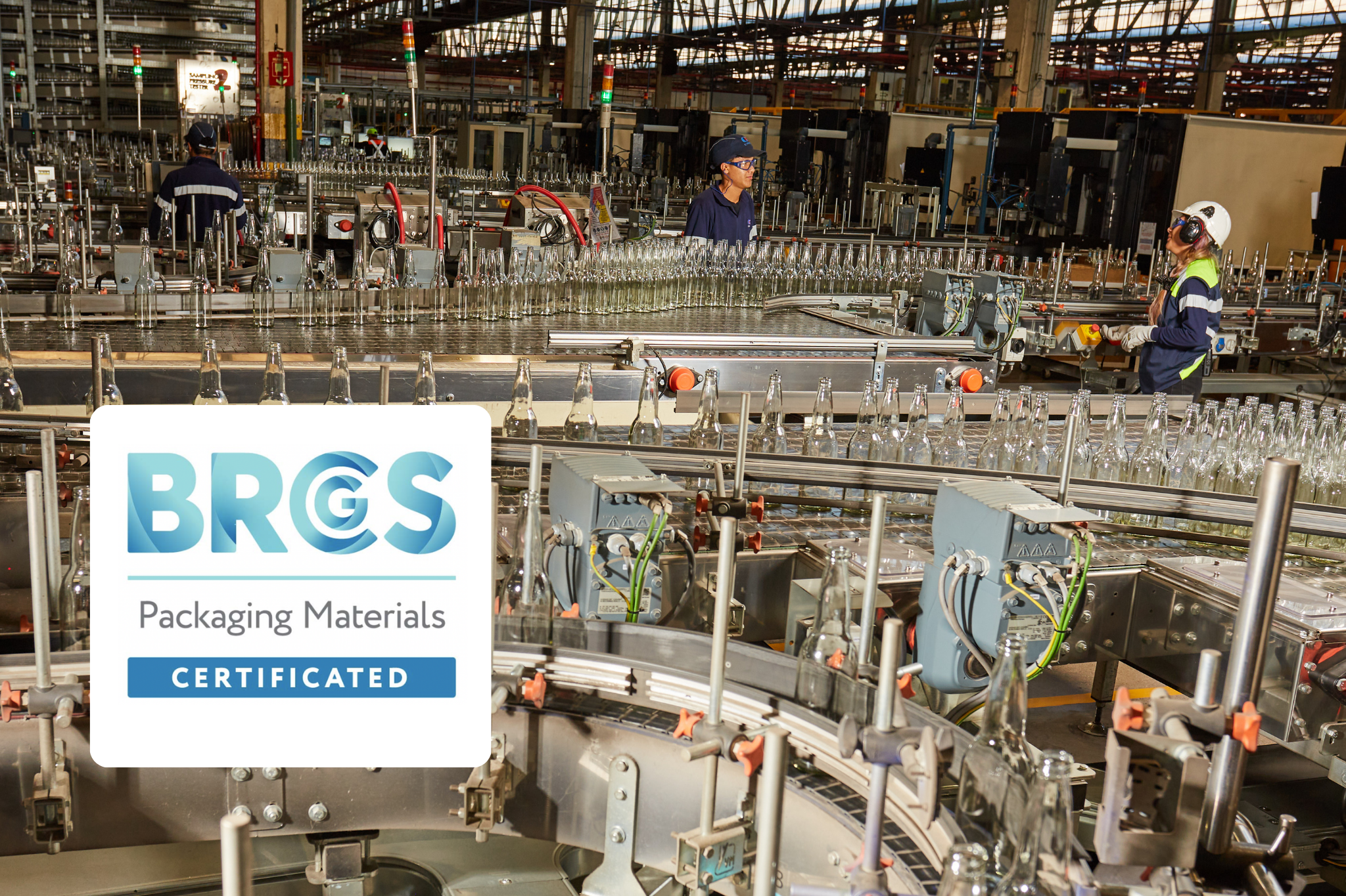 Imagen interna de planta Cristalchile